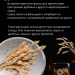 Фальшдно для куба 25 литров, 317 мм